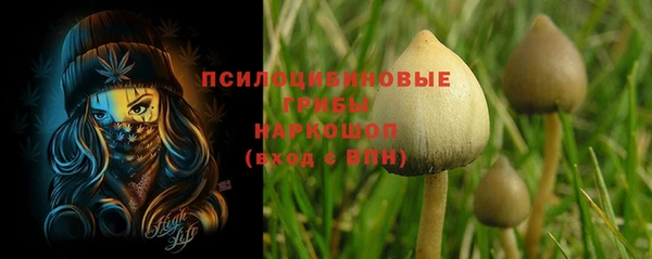 дурь Алзамай