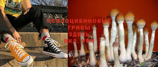 дурь Алзамай
