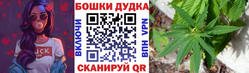Бошки марихуана марихуана  Чистополь 